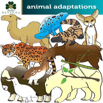 Preview of Animal Adaptations Clip Art Set