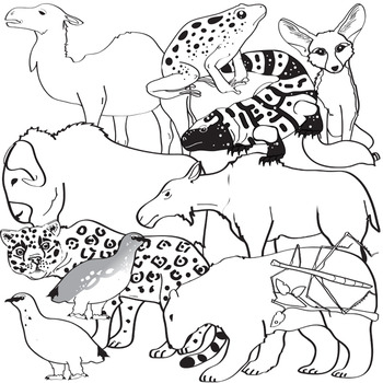 200+ Animal Adaptation Stock Illustrations, Royalty-Free Vector Graphics &  Clip Art - iStock