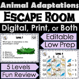 Animal Adaptations Activity: Digital Escape Room (Life Sci