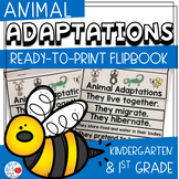 Animal Adaptations (K & 1st Grade)