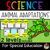 Animal Adaptations For Special Education