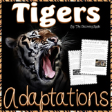 Reading Comprehension Passages and Questions  Animal Adaptations Freebie
