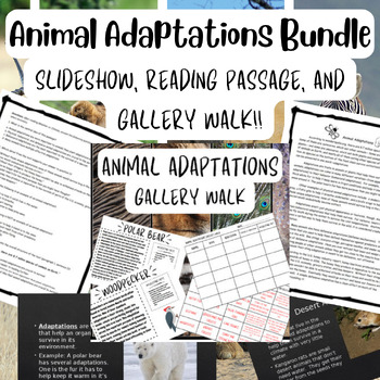 Preview of Animal Adaptations Gallery Walk, Slideshow, and Reading Passage Questions BUNDLE