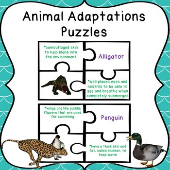 5th Grade Animal Adaptations Game Puzzles Sorting Animals Traits Science  Center