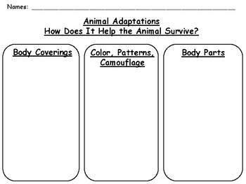 ANIMAL ADAPTATIONS Research Graphic Organizer by ANCHOR CHART ALLEY