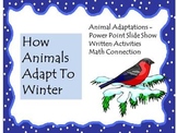 Animal Adaptations: How Animals Adapt To Winter