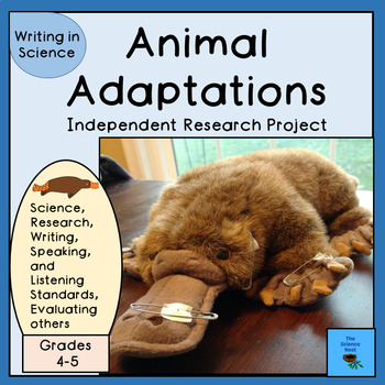 Preview of Animal Adaptations Independent Research Project