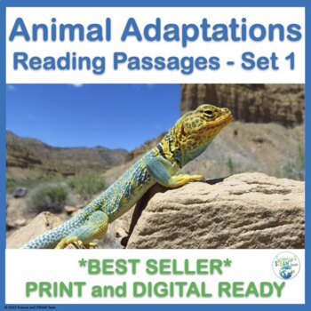 Preview of Animal Adaptations Informational Reading Comprehension Passages