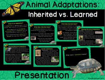 Preview of Animal Adaptations : Inherited vs. Learned (& Acquired Traits) Presentation