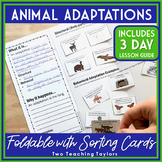 Animal Adaptations Interactive Notebook Foldable Notes and