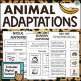Animal Adaptations Behavior 3rd 4th Grade Science Activity