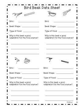 Animal Adaptations Interactive Science Notebook Resources by Ramona Ward