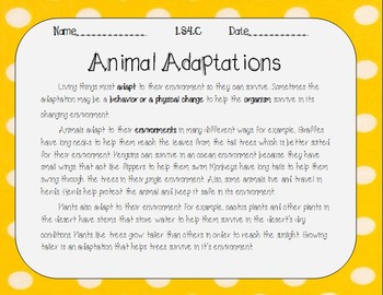 Preview of Animal Adaptations LS4.C