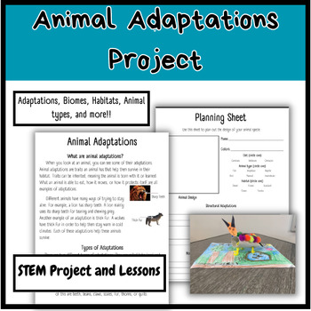 Animal Adaptations: Lesson for Kids - Lesson