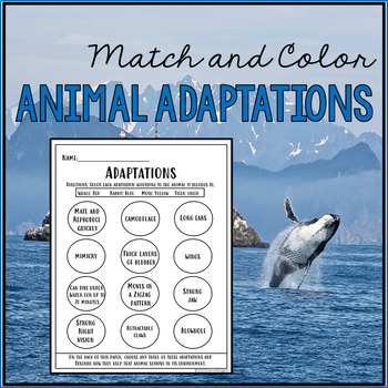 Free animal adaptations