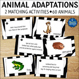 Animal Adaptations Structures and Functions Matching Games