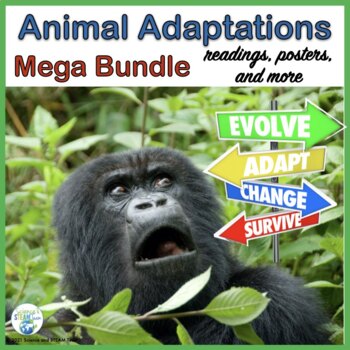 Preview of Animal Adaptations Mega Bundle