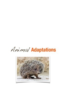 Preview of Animal Adaptations Minibook