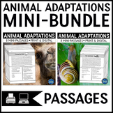 Animal Adaptations Nonfiction Reading Comprehension Passag