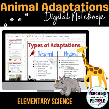 Preview of Animal Adaptations Notebook | Examples of Animal Adaptations