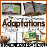Animal Adaptations – Printables / Google Classroom / Dista