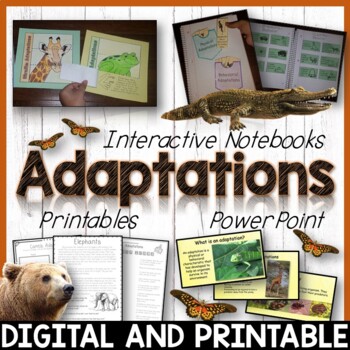 Preview of Animal Adaptations Pack - Physical, Behavioral, Instinctive, Learned, Camouflage