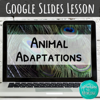 Preview of Animal Adaptations Physical and Behavioral Google Slides Lesson