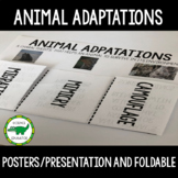 Animal Adaptations Posters/Presentations and Foldable