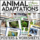 Animal Adaptations 19 Posters, Worksheets, Graphic Organiz
