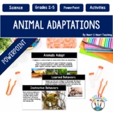 Animal Adaptations PowerPoint | Guided Notes | Instincts v