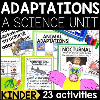 Animal Adaptations (PowerPoint, Posters, Worksheets, and More) | TPT