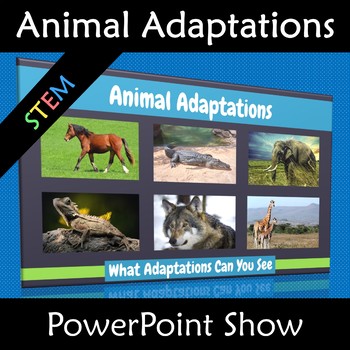 Animal Adaptations PowerPoint Show Physical Vs Behavioral by Kiwiland
