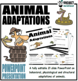 Animal Adaptations PowerPoint and Activity Sheets