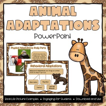 Preview of Animal Adaptations Powerpoint