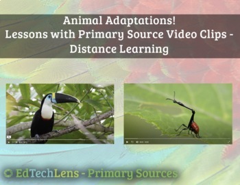 Preview of Animal Adaptations Primary Source Video Clip Lessons PDF w. Interactive Feature