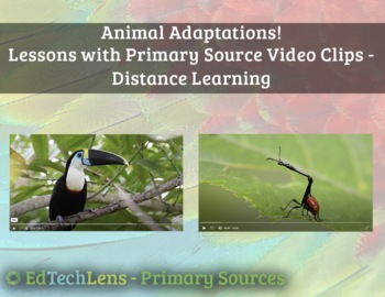 Preview of Animal Adaptations Primary Source Video Clip Lessons eBook Interactive Features