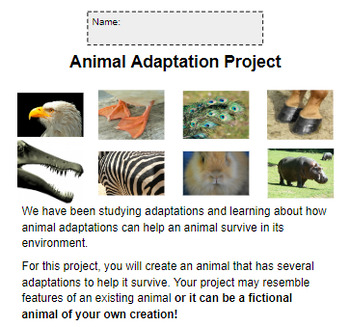 Preview of Animal Adaptations Project