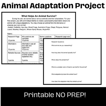 Preview of No Prep Animal Adaptations Project