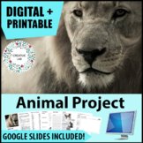 Animal Research Project - Adaptations and Evolution - PBL