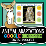 Animal Adaptations Project - Digital Research Project, Rea