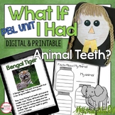 Animal Adaptations Project and Activities | Project Based 