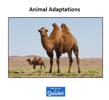 Preview of Animal Adaptations. Reader. PPTx. Quizlet. Online Quiz. materials and more ...