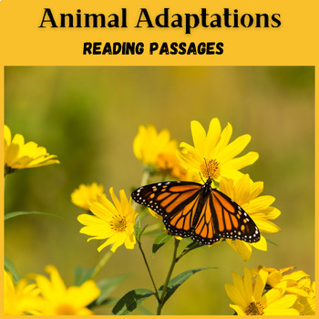 Preview of Animal Adaptations Reading Comprehension Passages Spring Activities