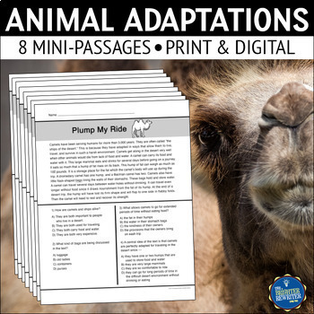 Preview of Animal Adaptations Reading Comprehension Passages Set 1