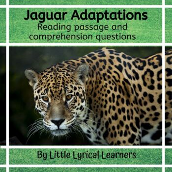 Preview of Animal Adaptations Nonfiction Reading Passage: The Jaguar