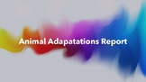 Animal Adaptations Report