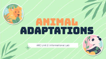Preview of Animal Adaptations Research Lab: American Reading Company ARC