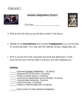 Animal Adaptations Research Project by AA | Teachers Pay Teachers