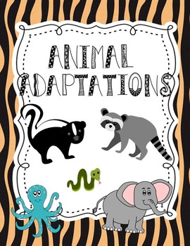 Preview of Animal Adaptations Research Project