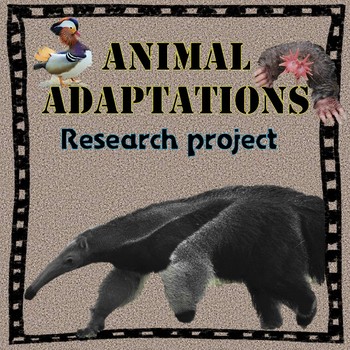 Preview of Animal Adaptations Research Project